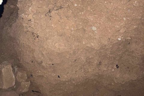 Landejendom i El Perello, Tarragona, El Perello - € 74.000 | Ref: FincaVistaValle - foto 11
